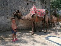 /album/fotogaleria-turecko-oludeniz-my-a-vy/turecko-oludeniz-dovolenka-67-jpg/